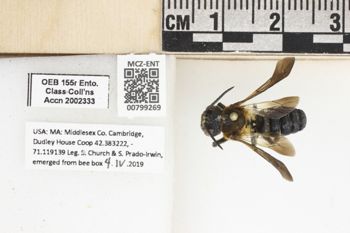 Media type: image;   Entomology 799269 Aspect: labels